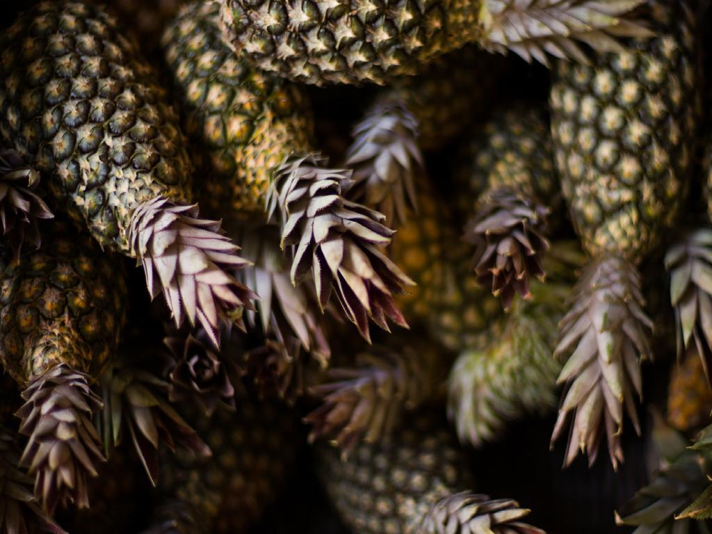 Pousada La Bonita Baía Formosa エクステリア 写真