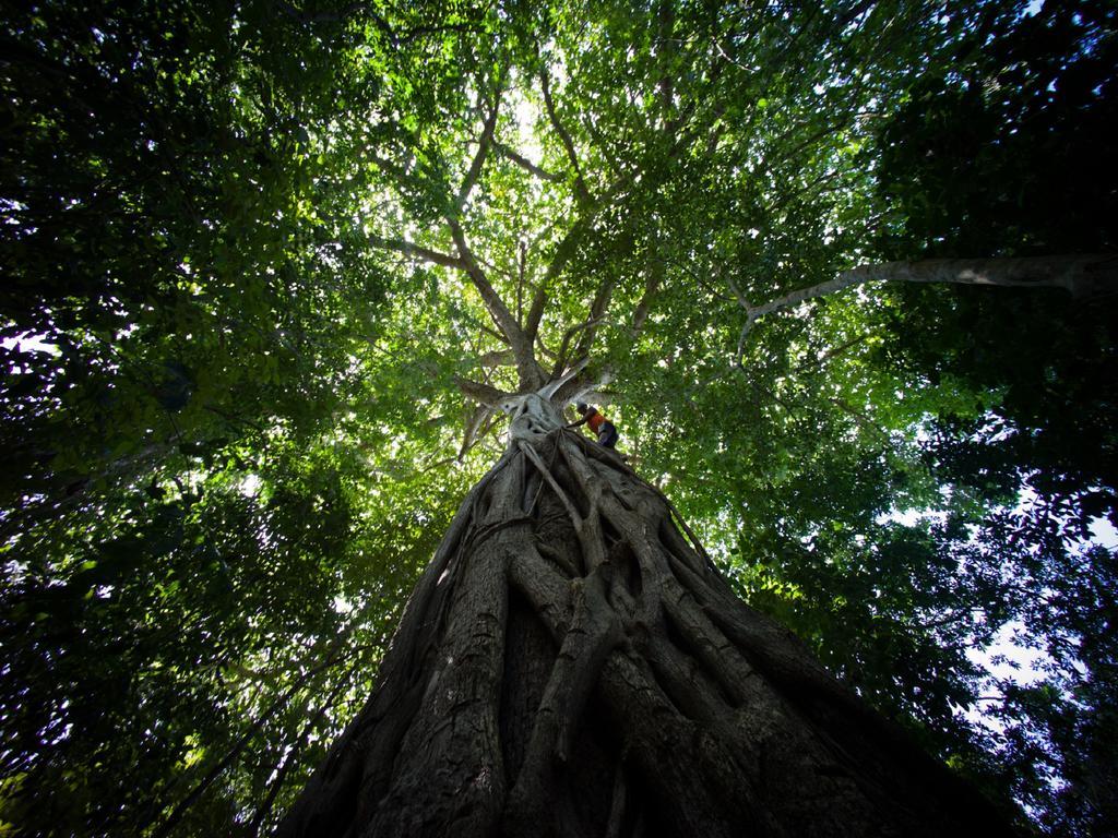 Pousada La Bonita Baía Formosa エクステリア 写真