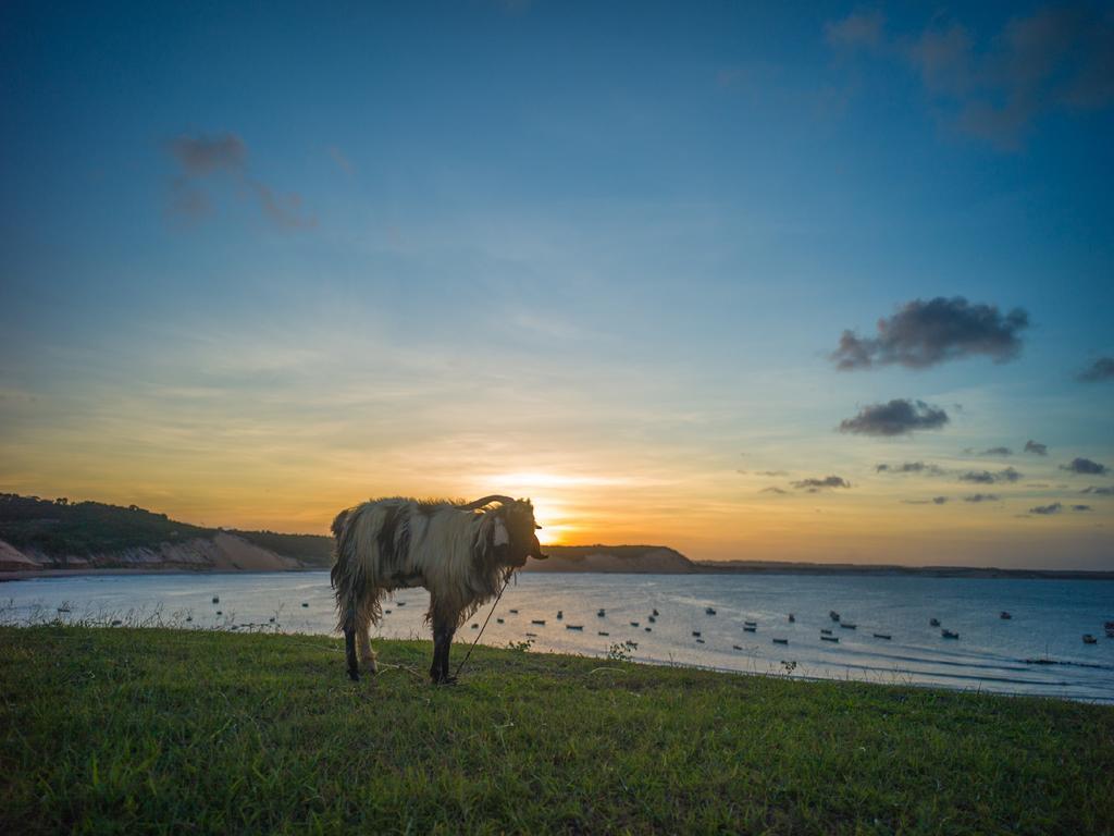 Pousada La Bonita Baía Formosa エクステリア 写真