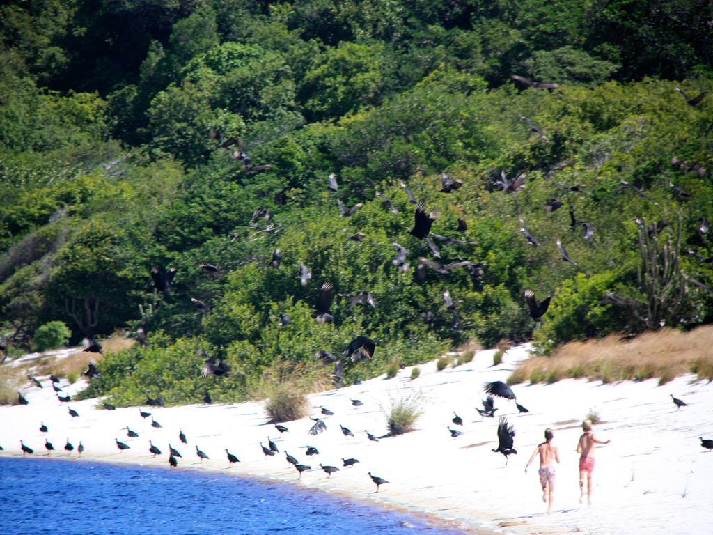 Pousada La Bonita Baía Formosa エクステリア 写真