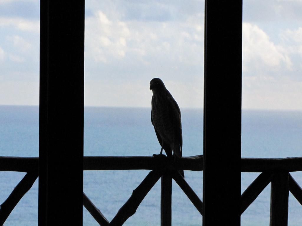 Pousada La Bonita Baía Formosa エクステリア 写真