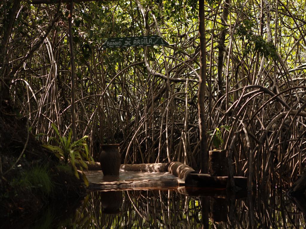Pousada La Bonita Baía Formosa エクステリア 写真