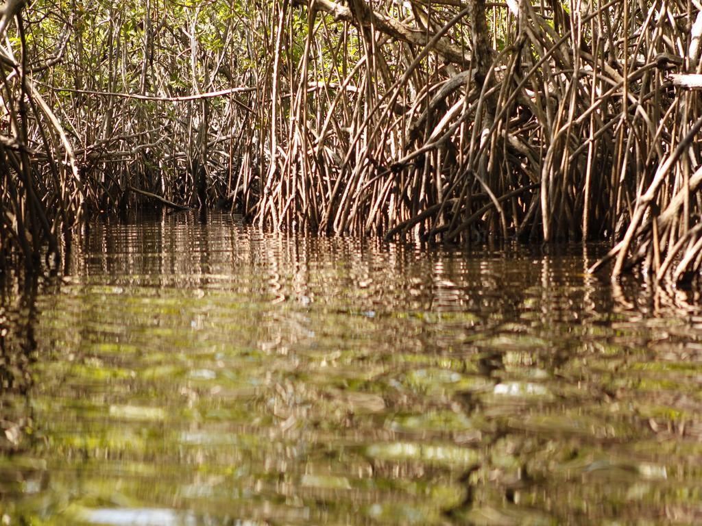 Pousada La Bonita Baía Formosa エクステリア 写真