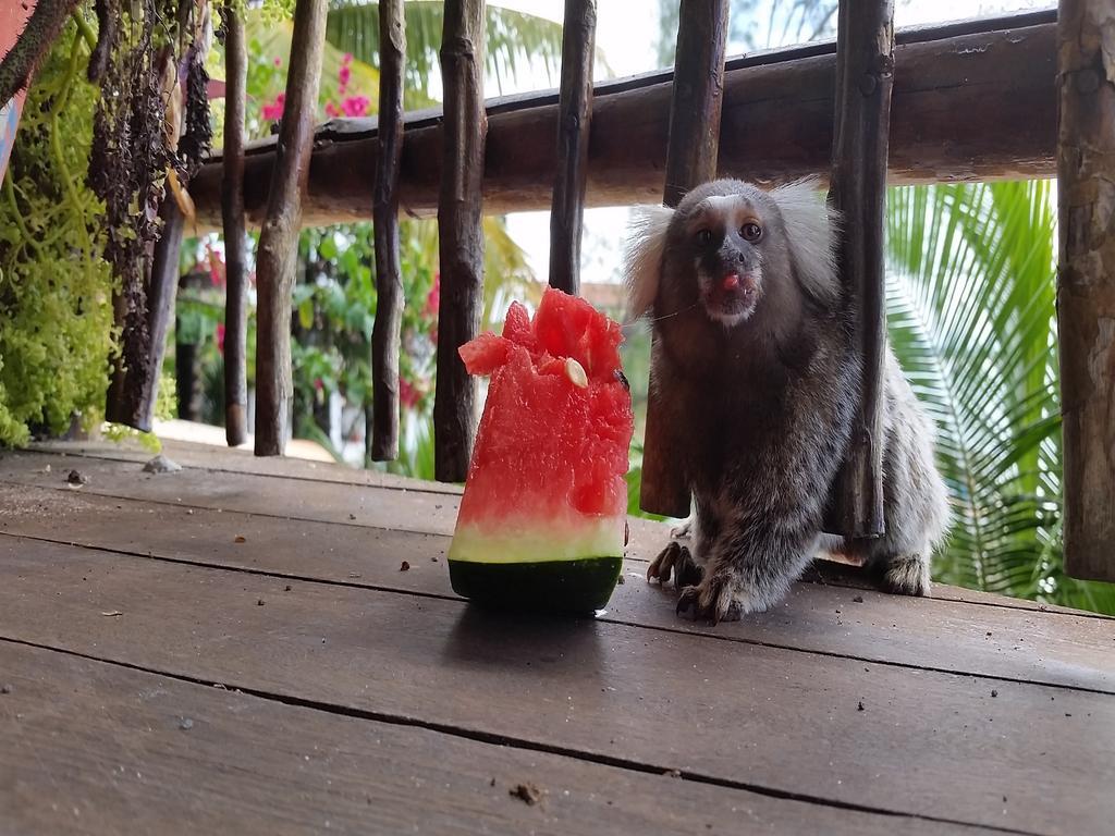 Pousada La Bonita Baía Formosa エクステリア 写真