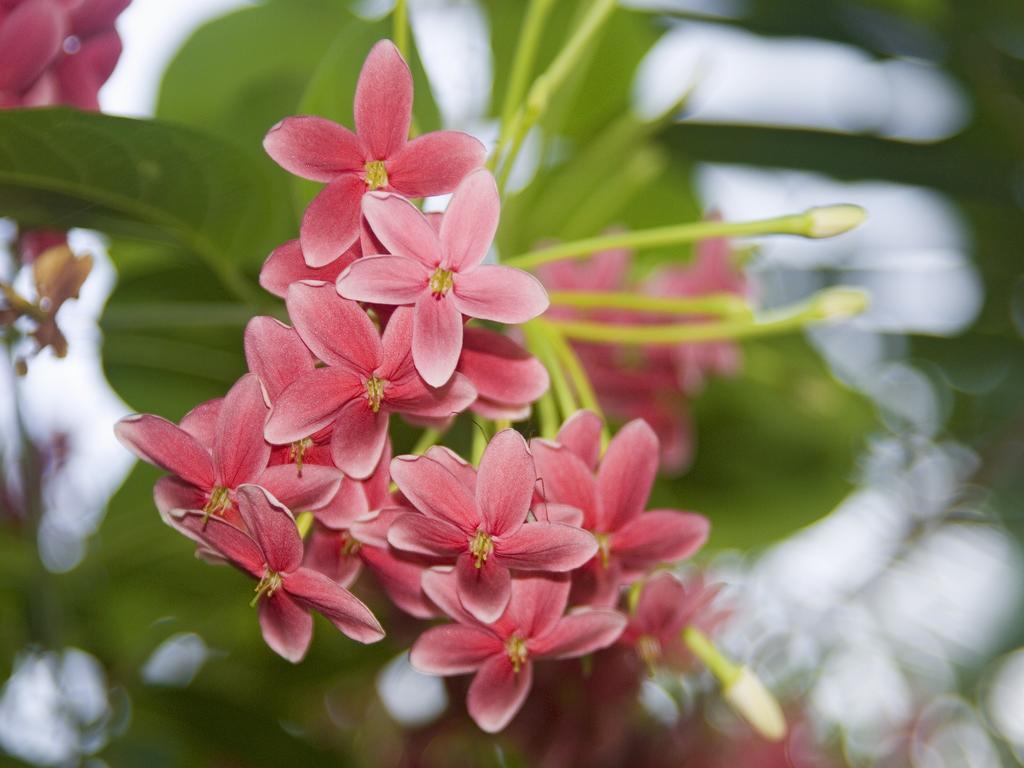 Pousada La Bonita Baía Formosa エクステリア 写真