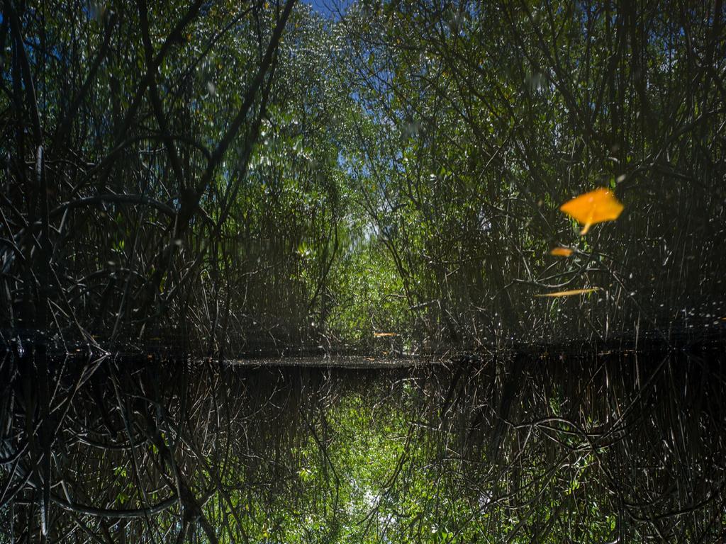 Pousada La Bonita Baía Formosa エクステリア 写真